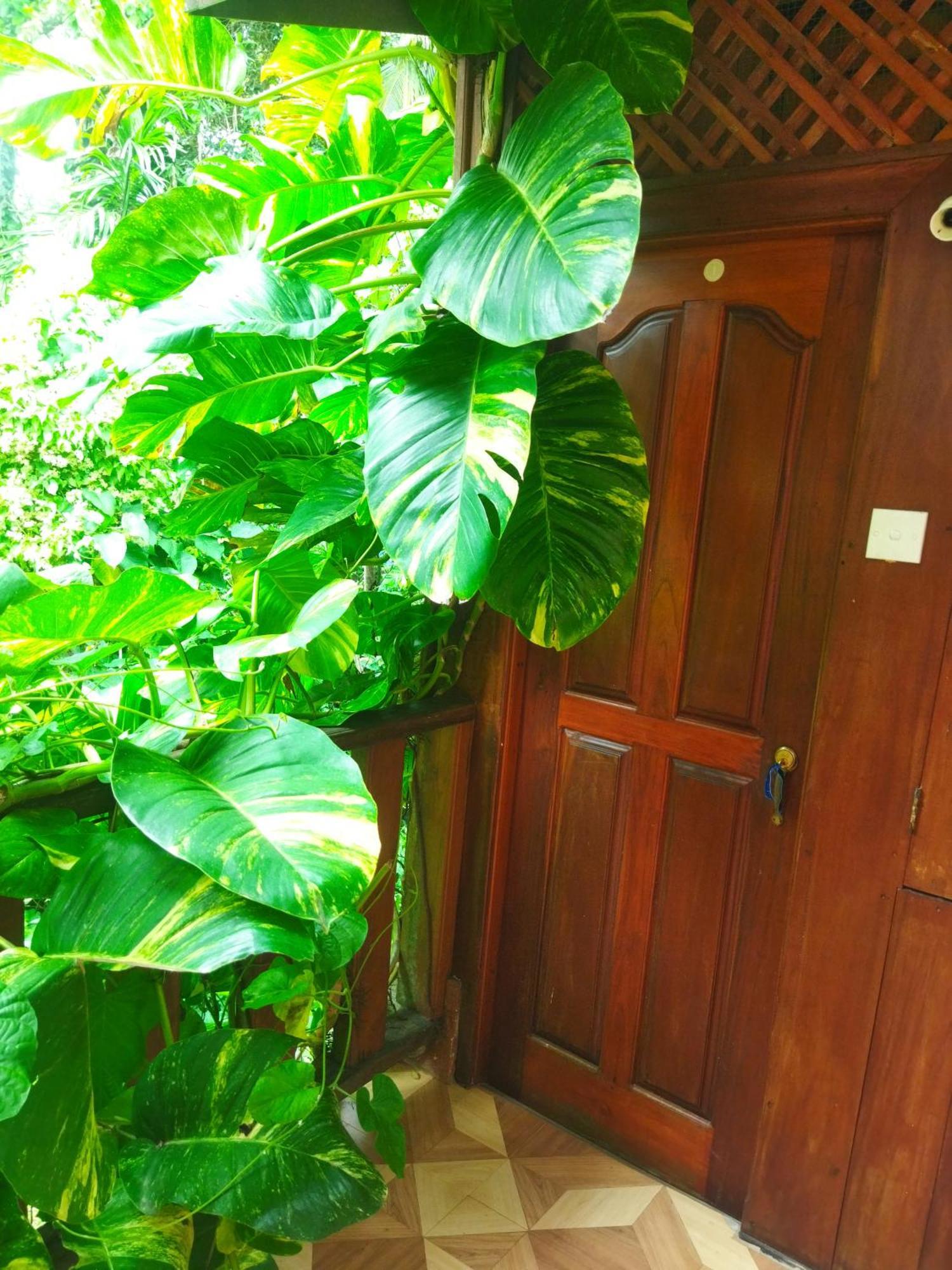 Gold Ocean House Apartment Dikwella Ruang foto