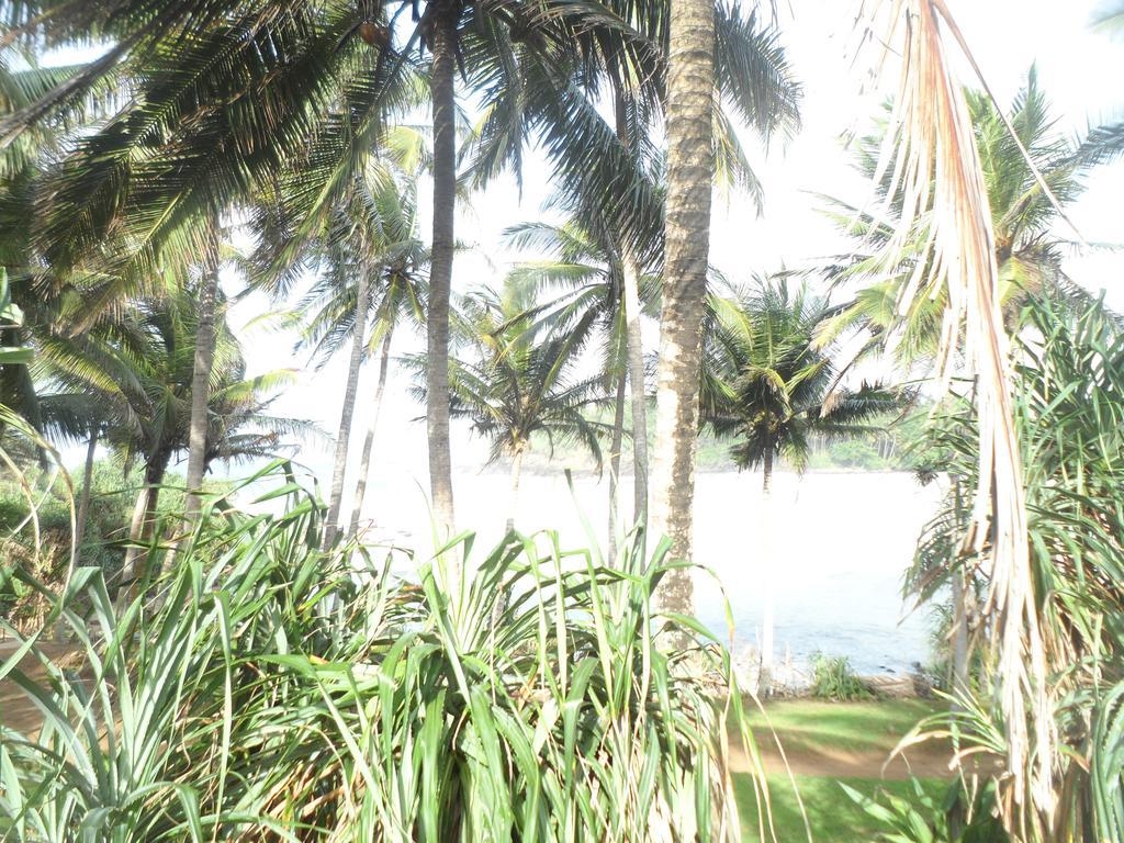 Gold Ocean House Apartment Dikwella Bagian luar foto