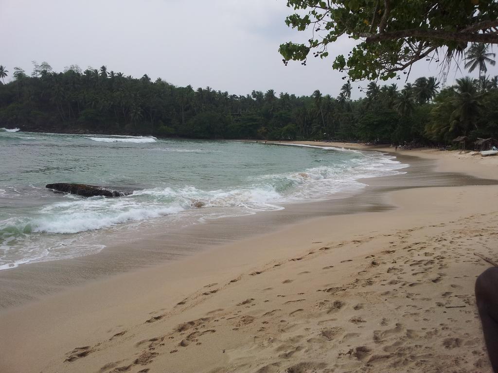 Gold Ocean House Apartment Dikwella Bagian luar foto